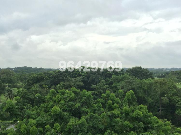 Blk 438 Choa Chu Kang Avenue 4 (Choa Chu Kang), HDB 4 Rooms #105494172